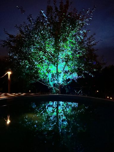 baum beleuchtung